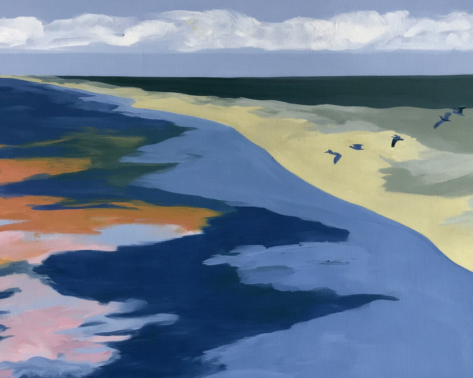 Birds over the pale shore