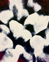 White blocks among dark ground