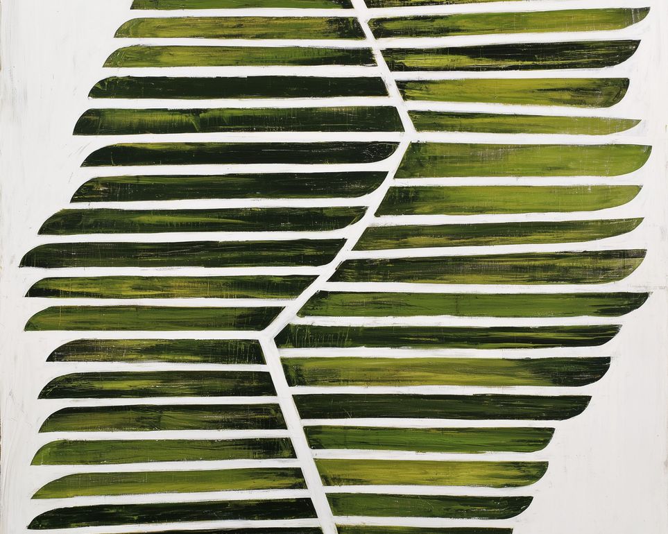 Leaf ribs around a white vein