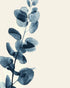 Blue leaves on pale air