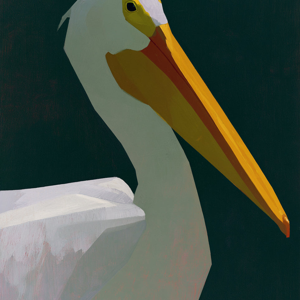 White pelican in deep green