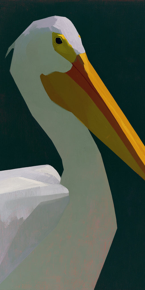 White pelican in deep green