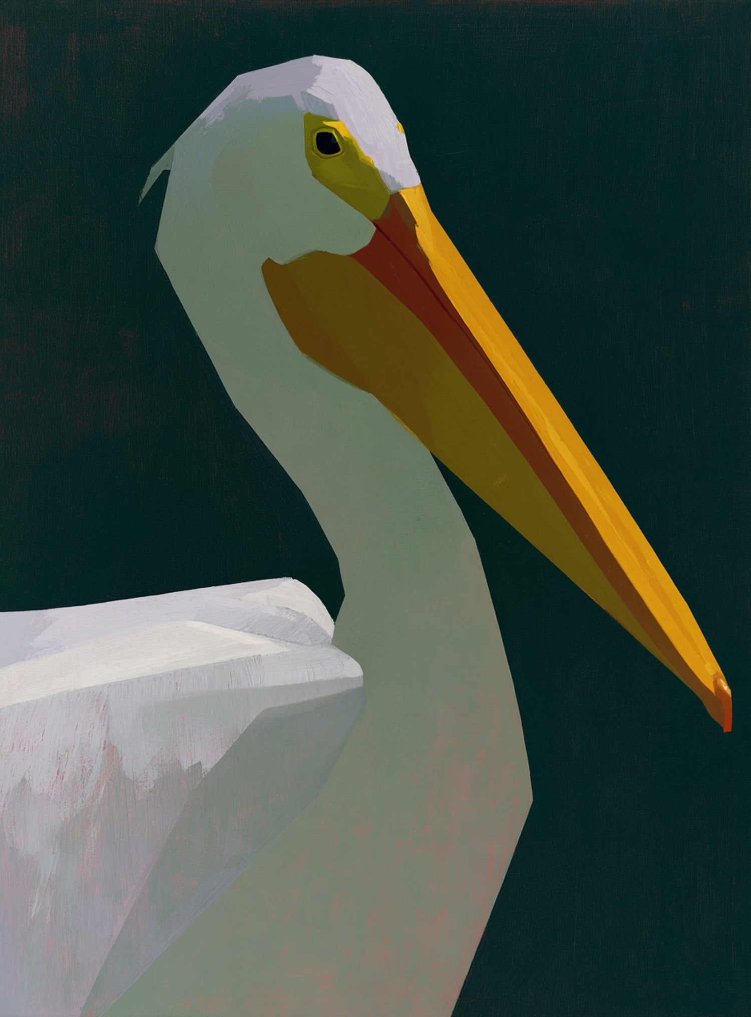 White pelican in deep green