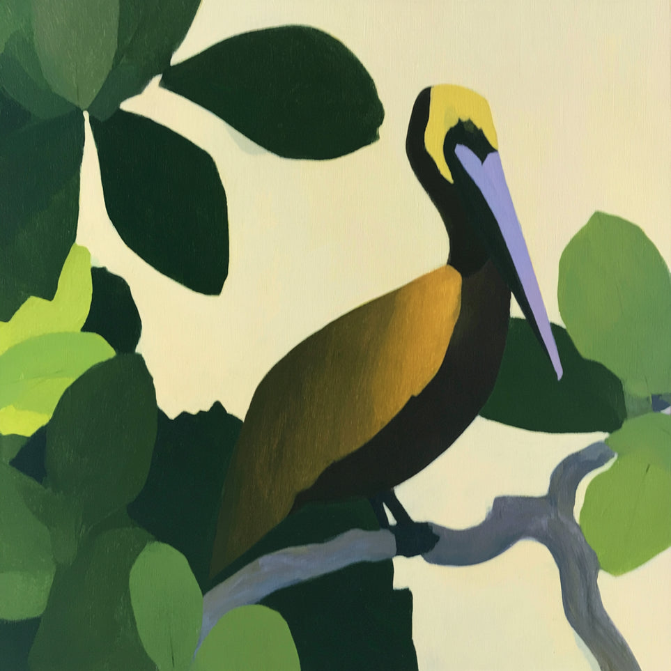 Long beak in green shade