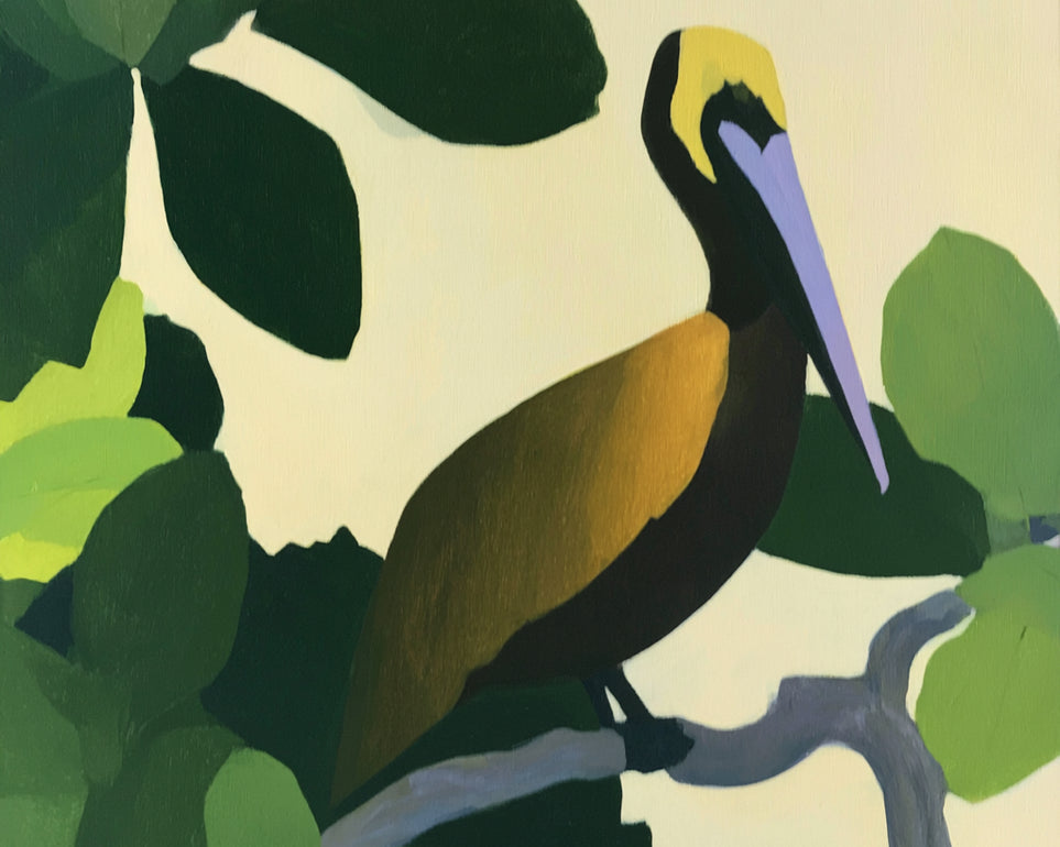Long beak in green shade