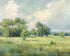 The Gentle Field 