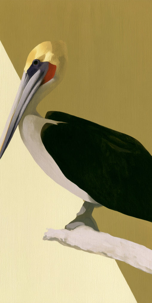 Pelican in quiet balance