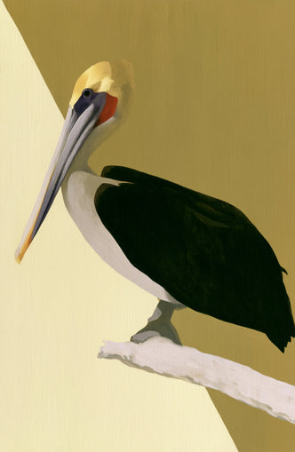 Pelican in quiet balance