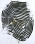 Black bands turning inward
