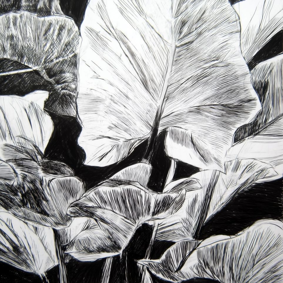 A Cluster of Leaves