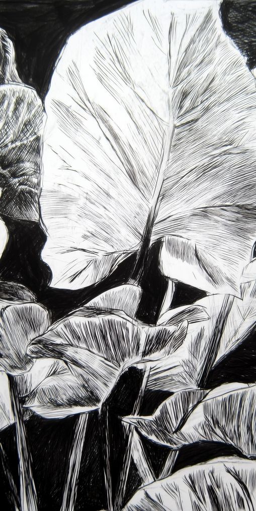 A Cluster of Leaves
