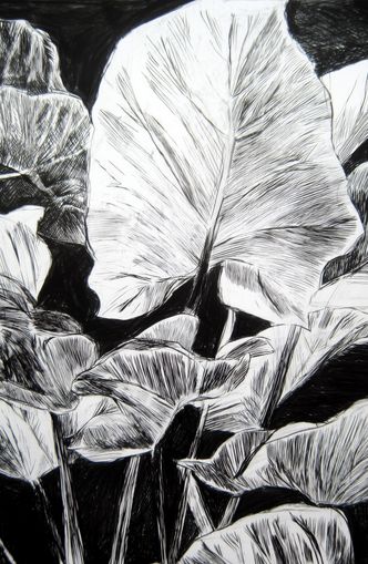 A Cluster of Leaves