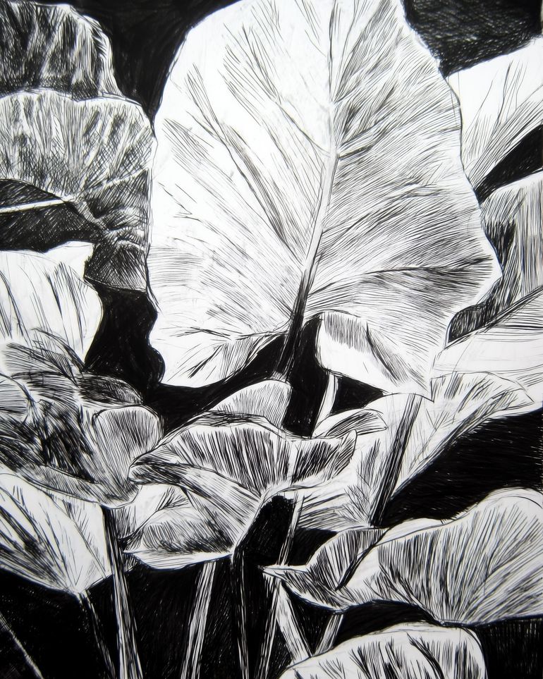 A Cluster of Leaves
