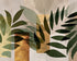Row of Ferns