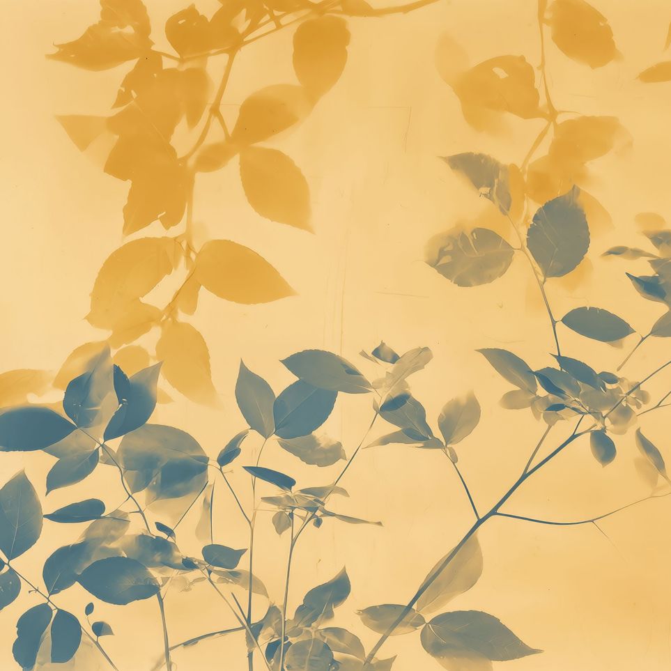 Pressed Leaves Recorded