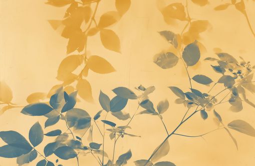 Pressed Leaves Recorded