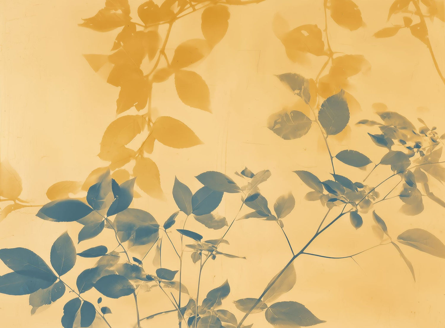 Pressed Leaves Recorded
