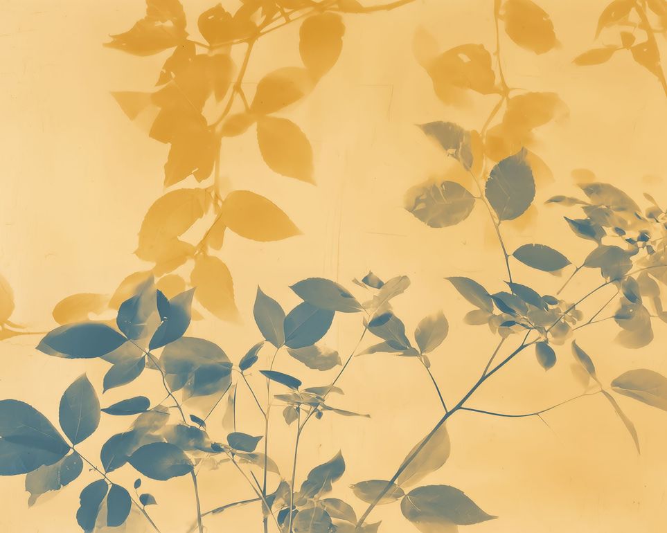 Pressed Leaves Recorded 