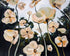 Paper Petals