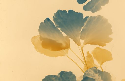 Pressed Matter