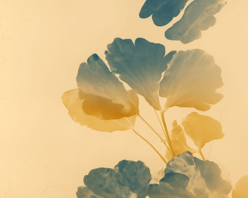 Pressed Matter 