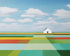 Colorful Crops