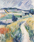 Path Through the Meadow