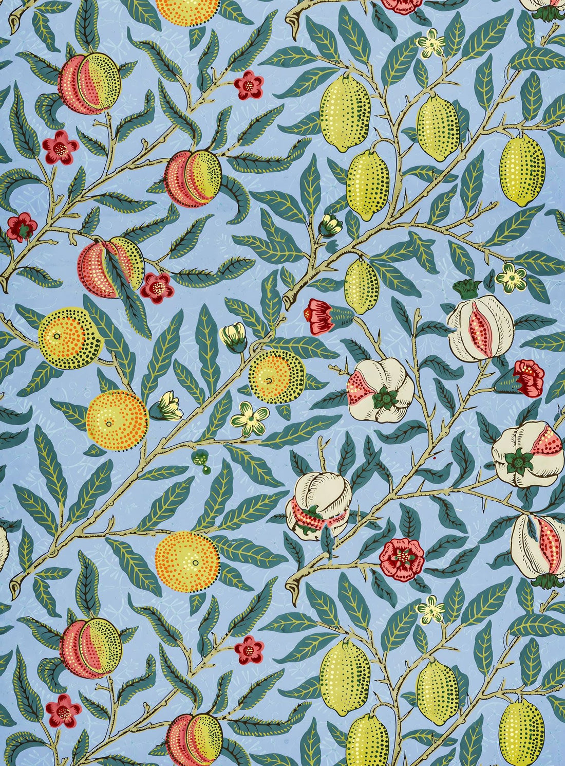 Fruits on the Vine