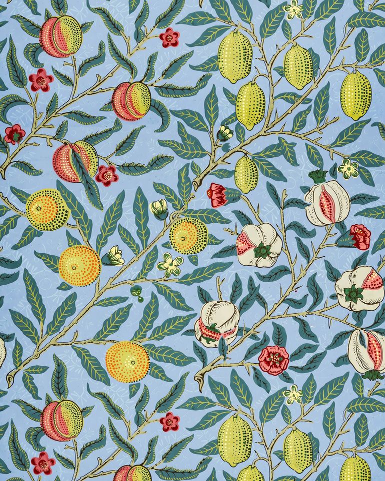 Fruits on the Vine
