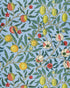 Fruits on the Vine