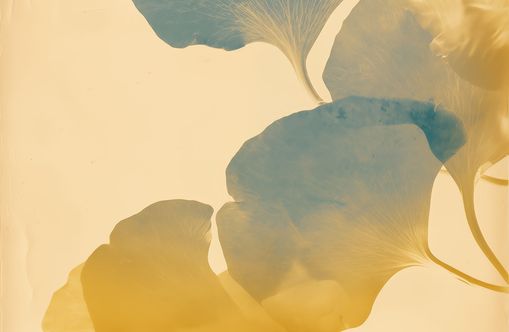 Leaves in Suspension