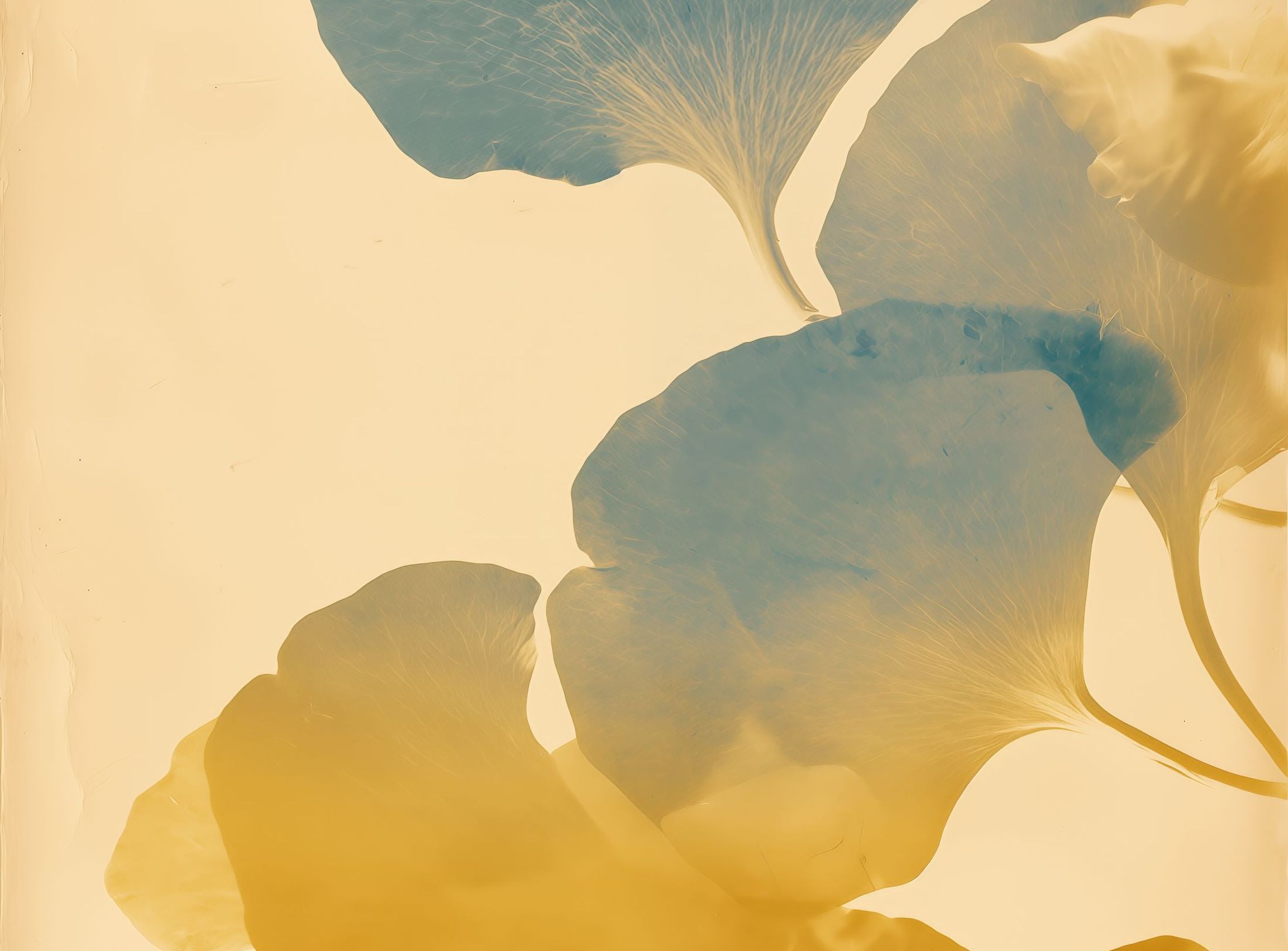 Leaves in Suspension