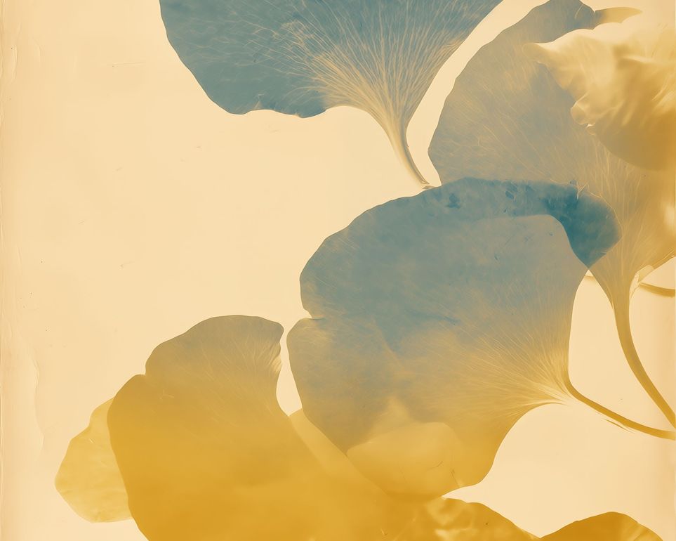 Leaves in Suspension 
