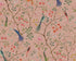 Songbirds, Pink