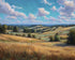 Rolling Field