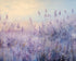 Lavender Fields