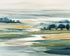 Divided Landscape 