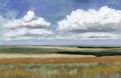 Wide Open Country