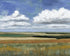 Wide Open Country