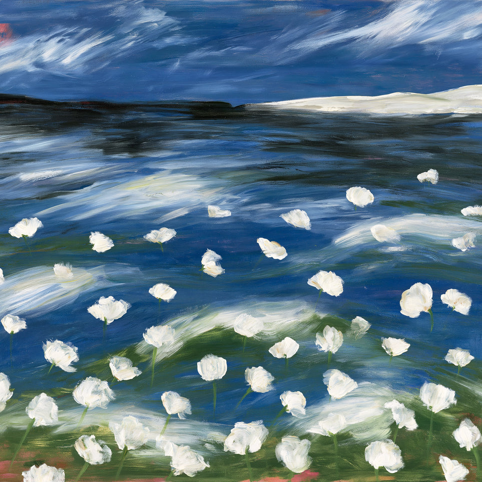White flowers in blue wind