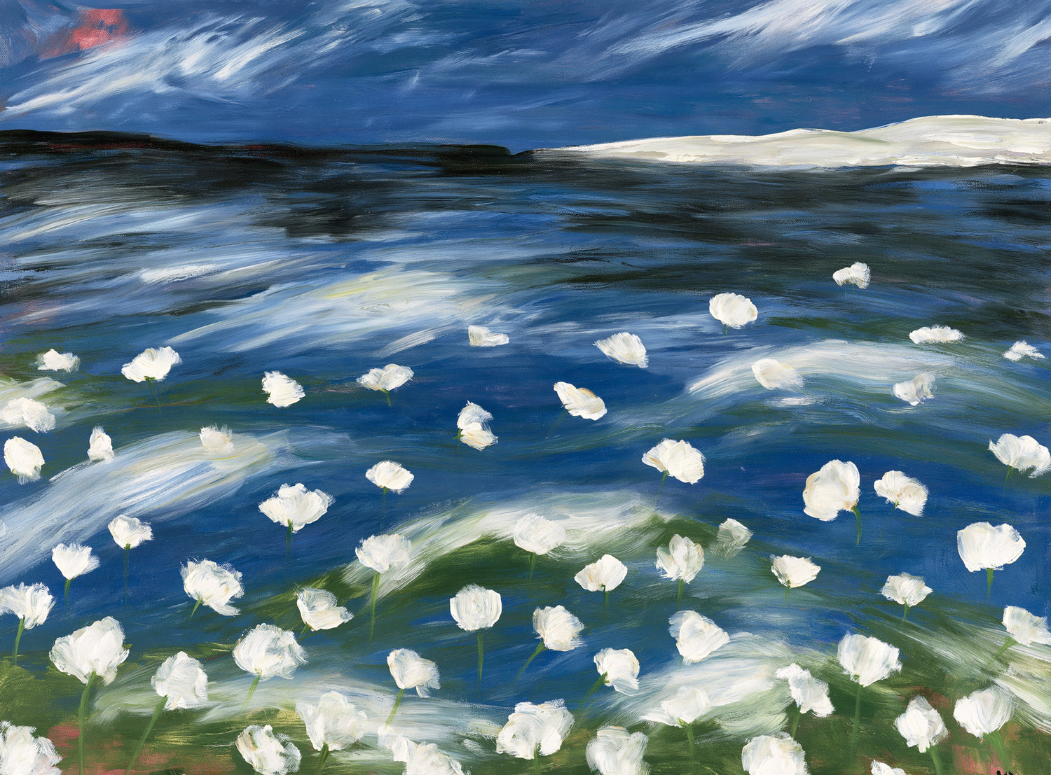 White flowers in blue wind
