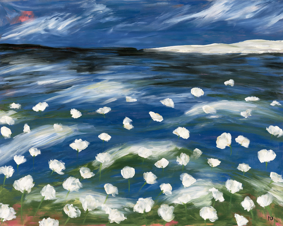 White flowers in blue wind