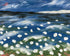 White flowers in blue wind