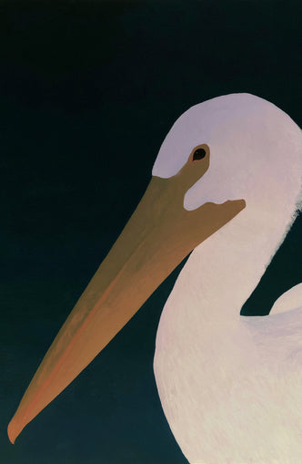 White pelican in stillness