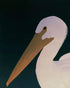 White pelican in stillness