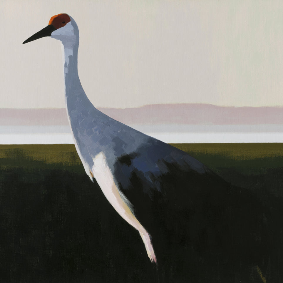 Crane with a red crown