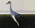 Crane with a red crown
