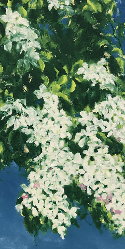 White blossoms on blue field
