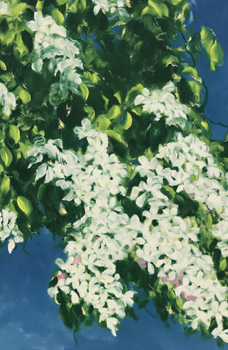 White blossoms on blue field