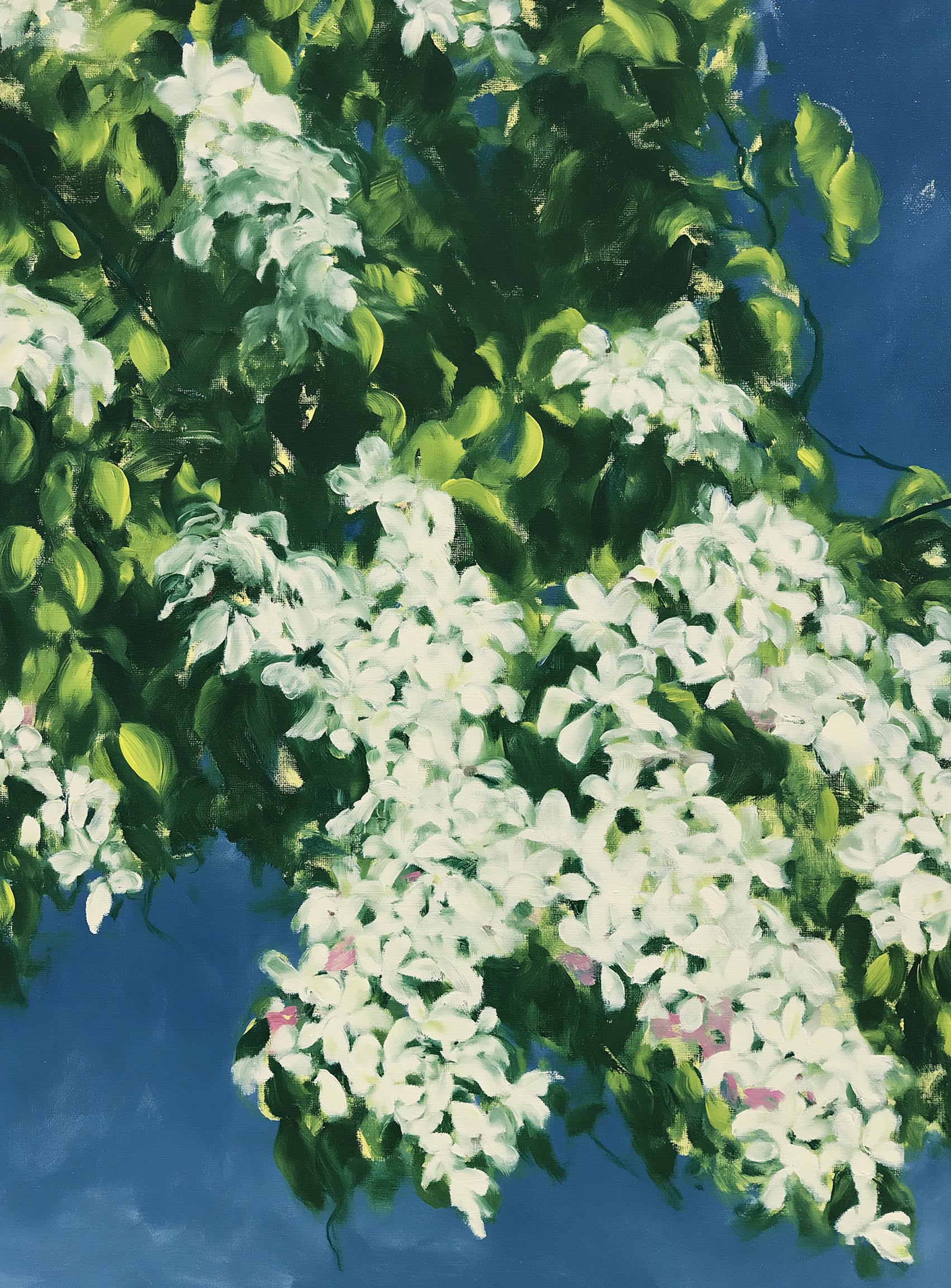 White blossoms on blue field